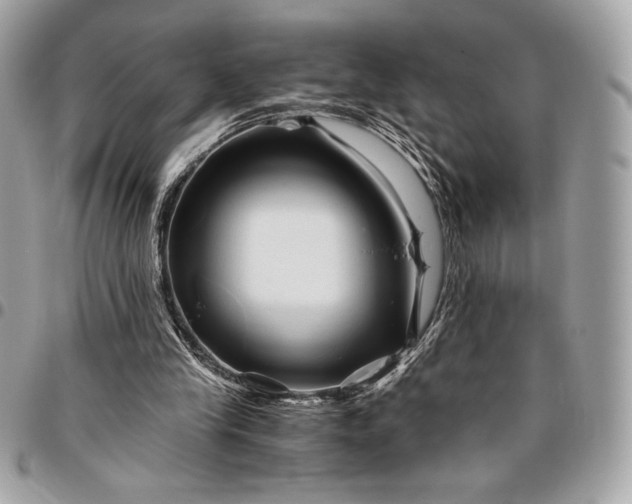 X0000096420245200802071709