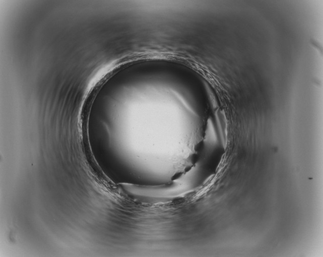 X0000096420246200802071709