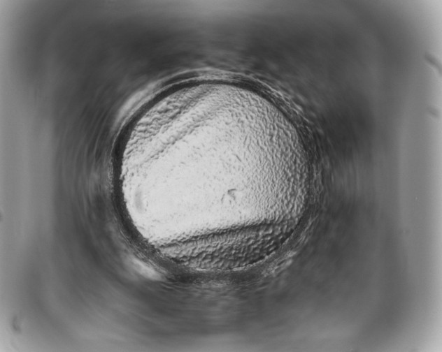 X0000096420247200802071709