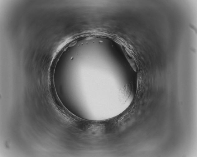 X0000096420248200802071709