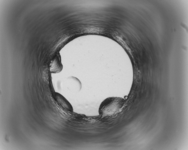 X0000096420249200802071709