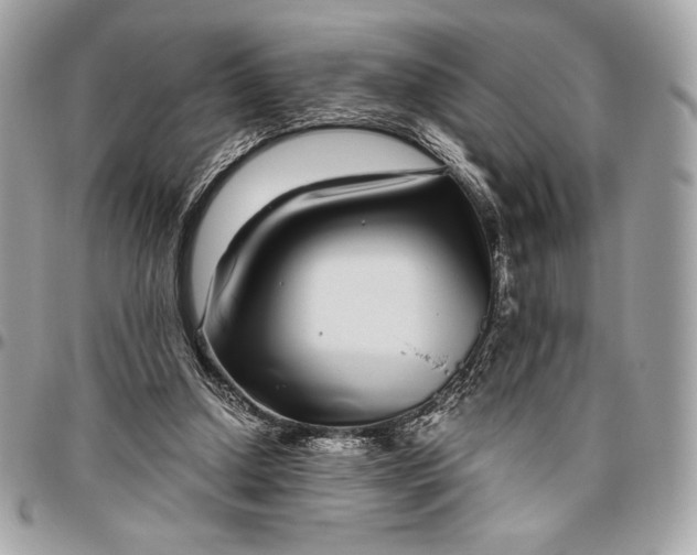 X0000096420250200802071709