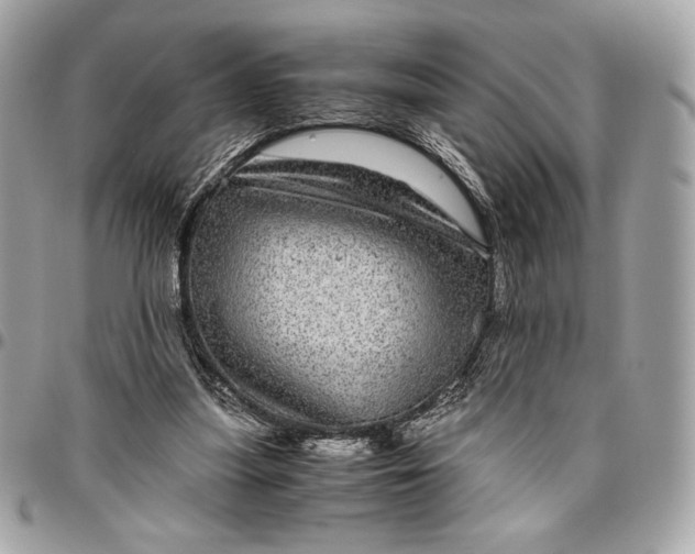 X0000096420251200802071709