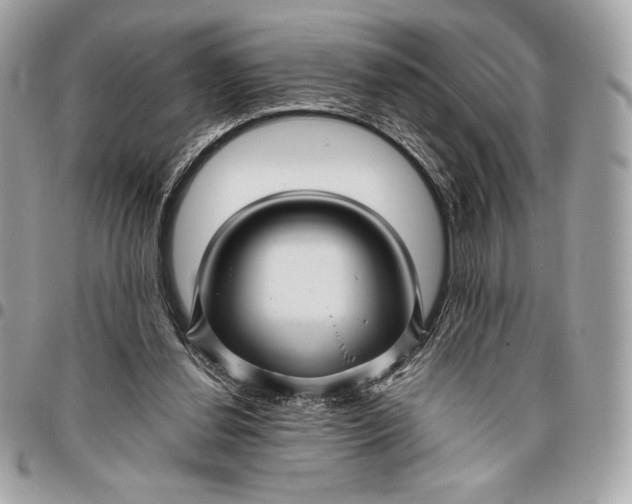 X0000096420252200802071709