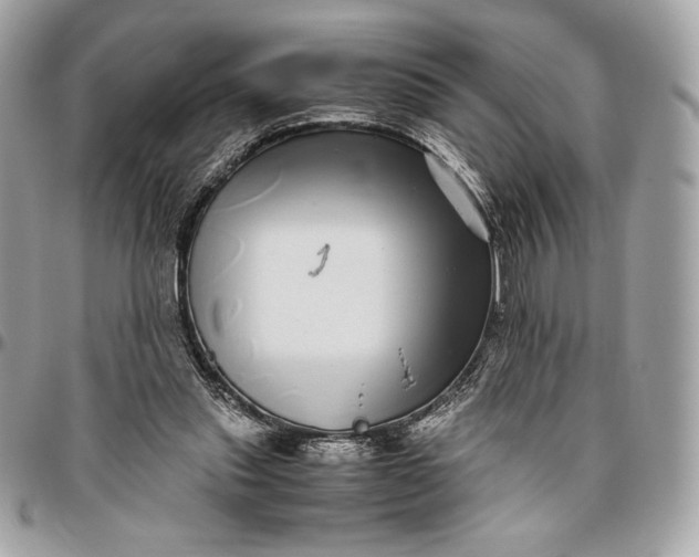 X0000096420253200802071709