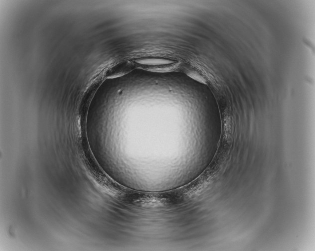 X0000096420254200802071709