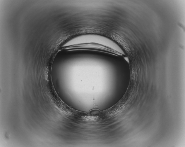 X0000096420255200802071709