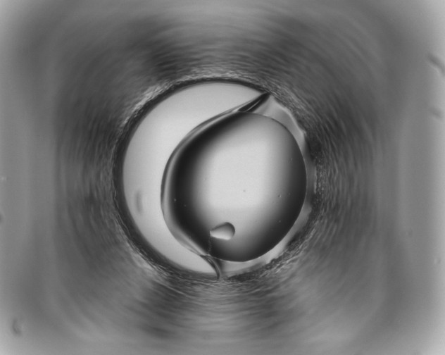 X0000096420256200802071709