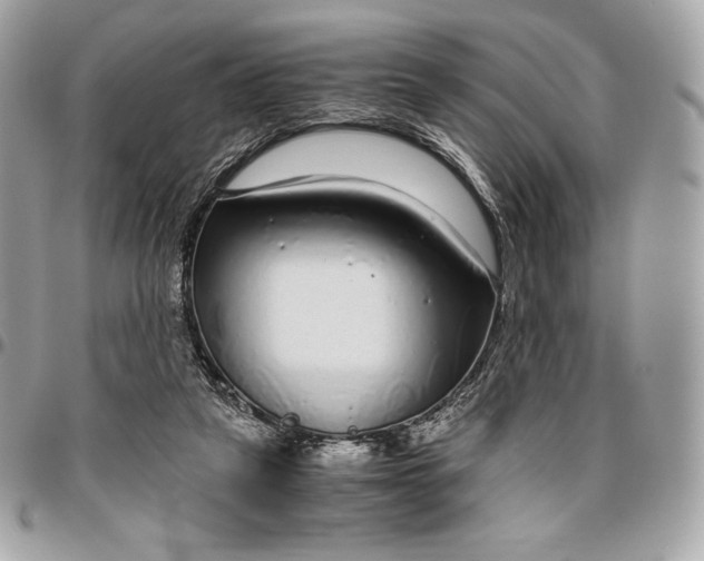 X0000096420257200802071709