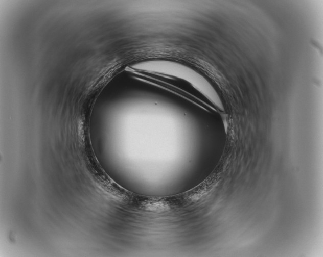 X0000096420258200802071709