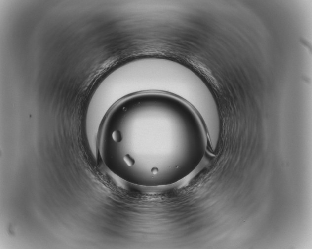 X0000096420260200802071709