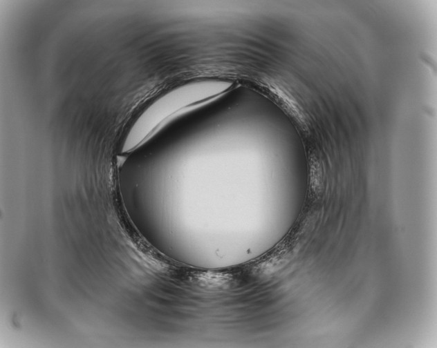 X0000096420261200802071709