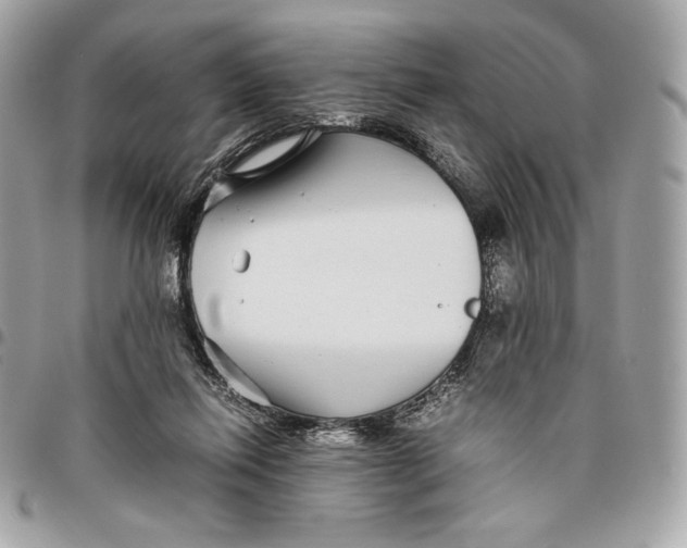 X0000096420262200802071709