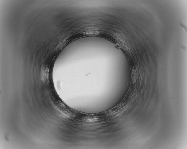 X0000096420263200802071709