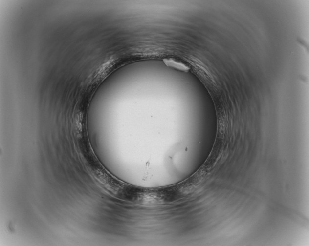 X0000096420264200802071709