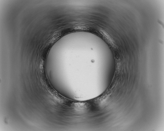 X0000096420265200802071709