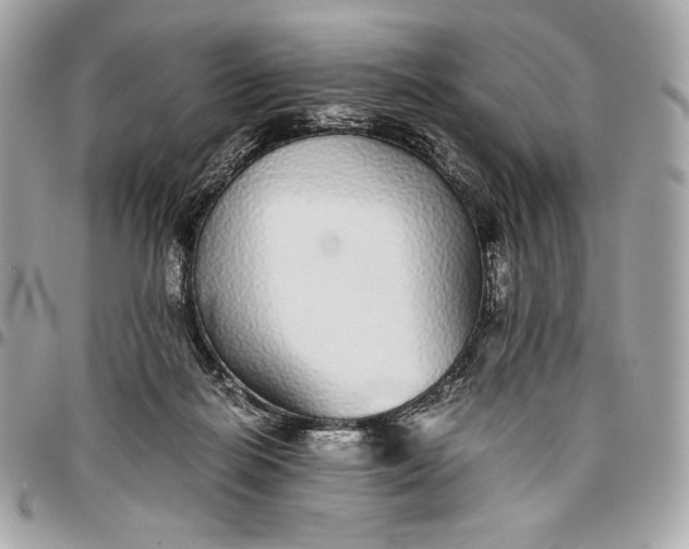 X0000096420266200802071709