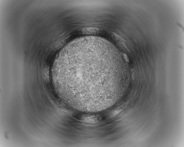 X0000096420267200802071709