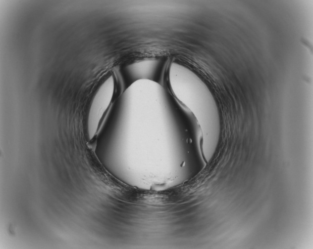 X0000096420268200802071709