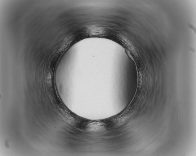 X0000096420269200802071709