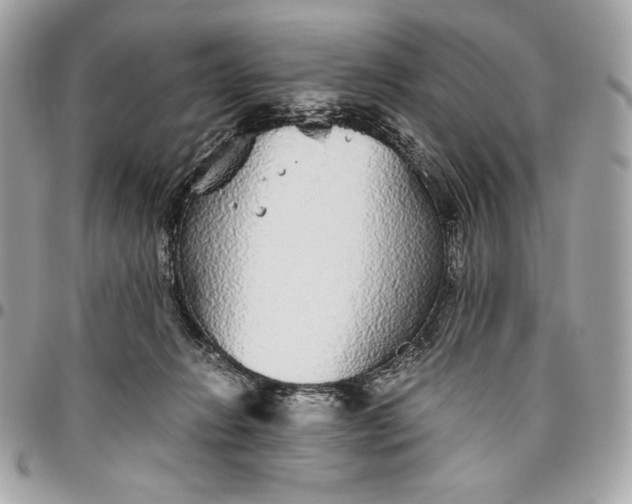 X0000096420270200802071709