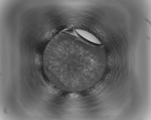 X0000096420272200802071709