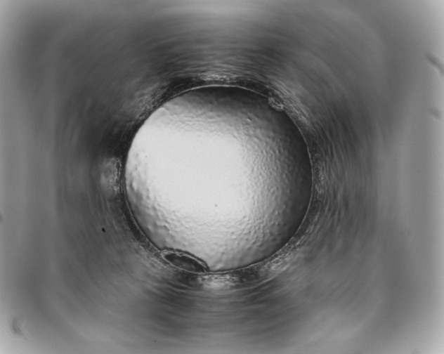 X0000096420273200802071710