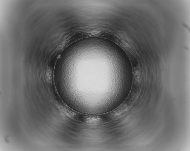 X0000096420274200802071710