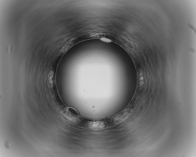 X0000096420275200802071710