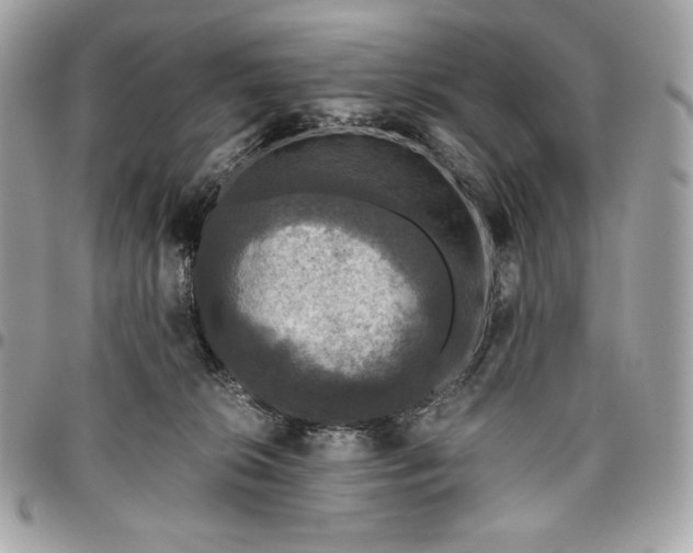 X0000096420276200802071710