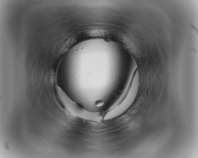 X0000096420277200802071710