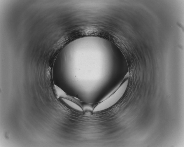 X0000096420278200802071710