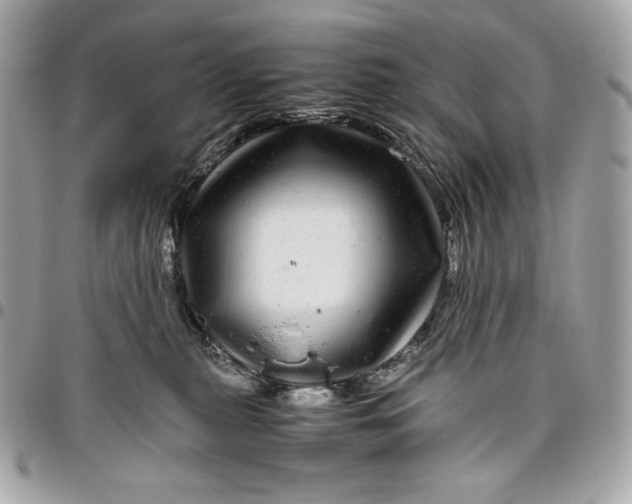 X0000096420279200802071710