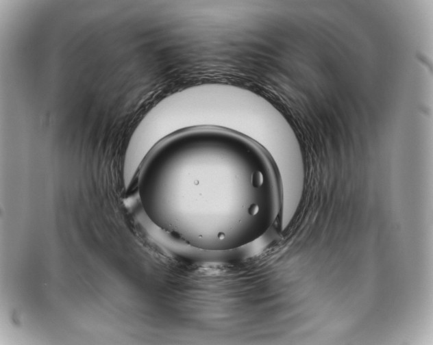 X0000096420280200802071710