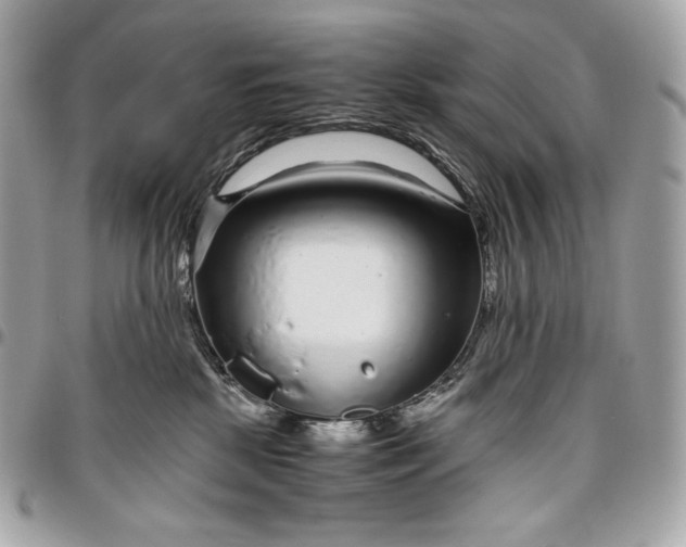 X0000096420281200802071710