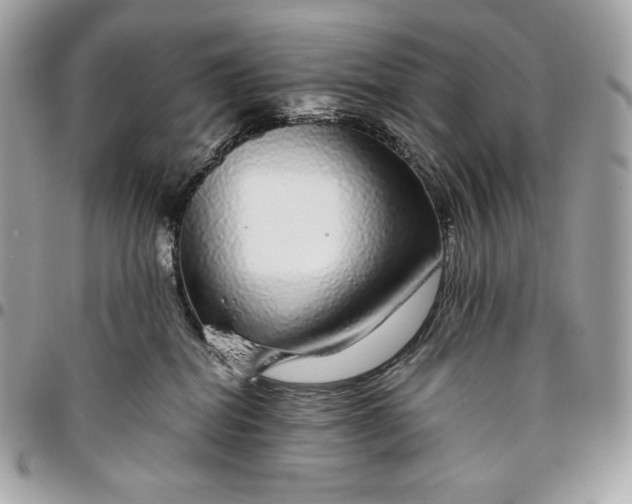 X0000096420282200802071710