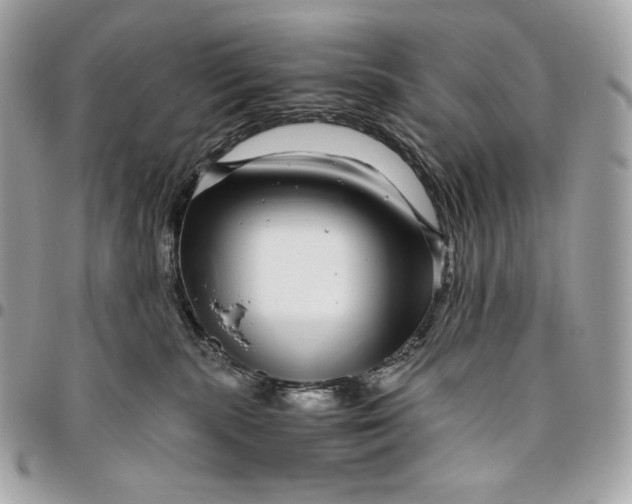 X0000096420283200802071710