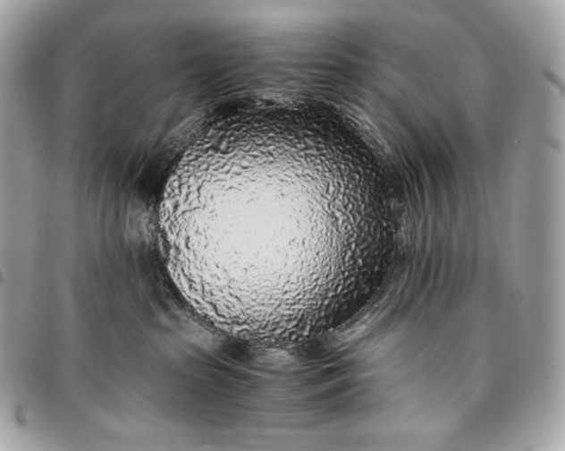 X0000096420285200802071710