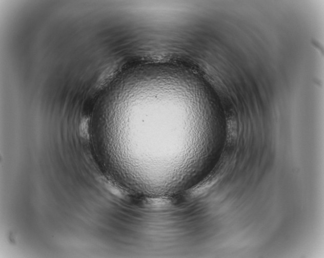 X0000096420286200802071710