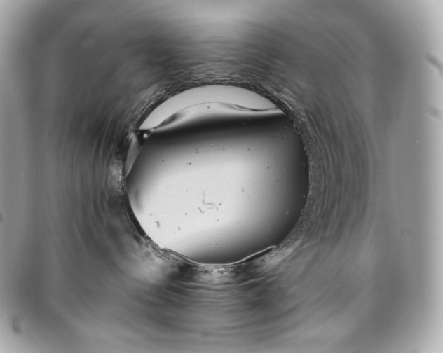 X0000096420288200802071710