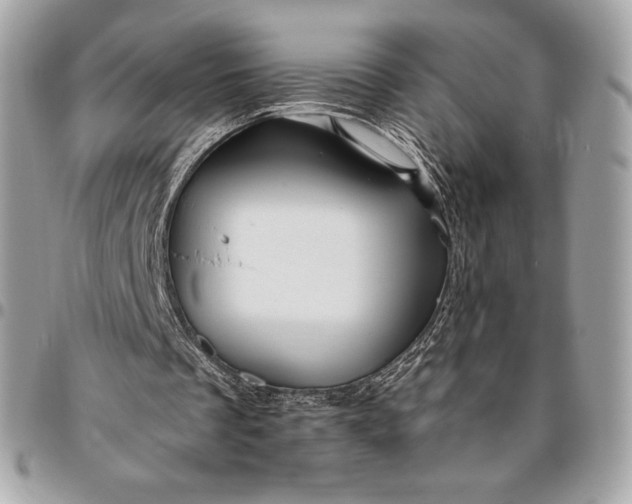 X0000096420289200802071709