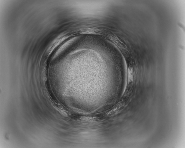 X0000096420291200802071709