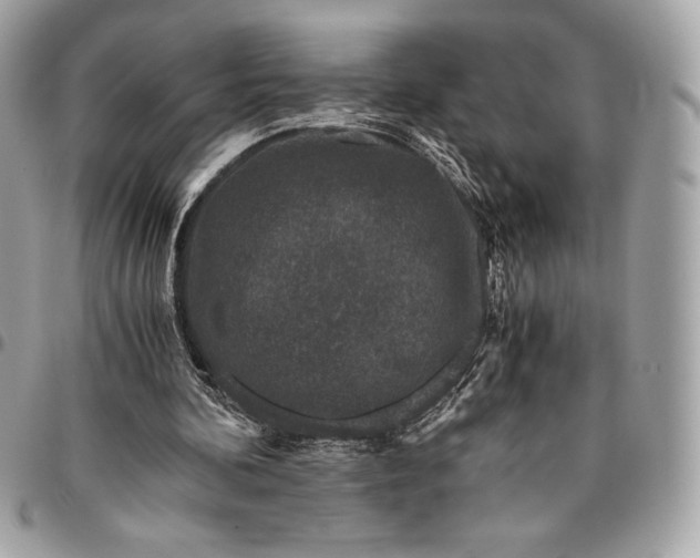 X0000096420292200802071709