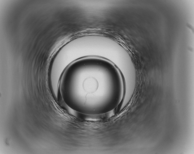 X0000096420293200802071709