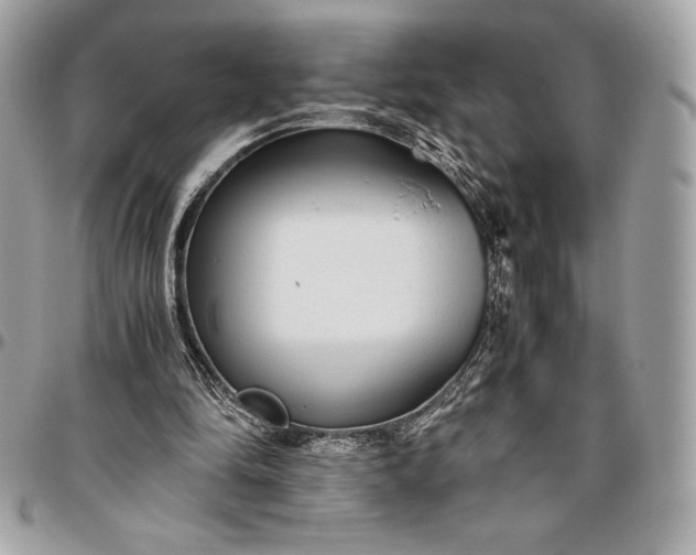 X0000096420294200802071709