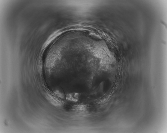 X0000096420295200802071709