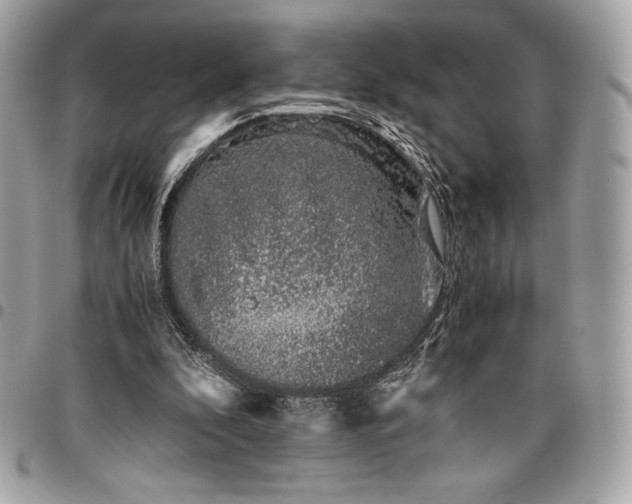 X0000096420296200802071709