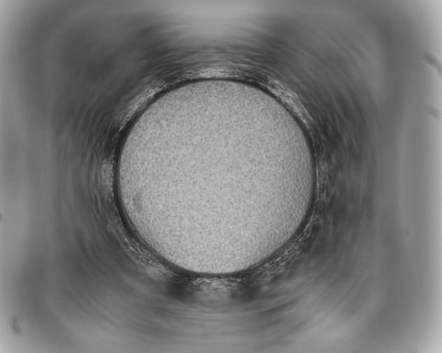 X0000096420297200802071709