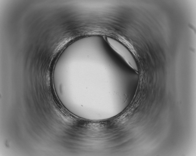 X0000096420298200802071709