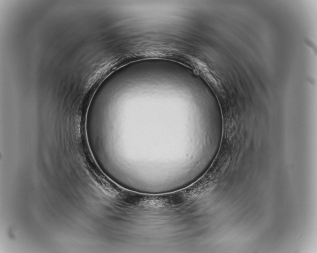 X0000096420299200802071709